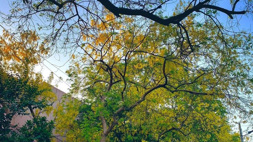 Delhi summers Delhi summers