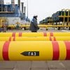 gas, gas pipeline, cng