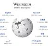 Why does Wikipedia need donations despite its massive popularity?