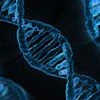 DNA database
