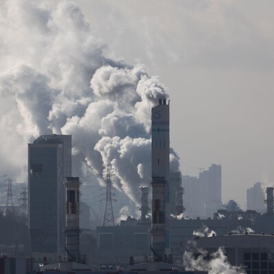 World Bank reports record $104 billion raised in global carbon emissions pricing in 2023