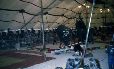 Pioneer of Indian circus Gemini Sankaran passes away at 99: Family Circus