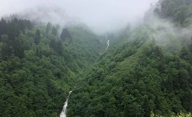 Financial institutions plan annual ESG spending of up to $500,000: Study Amazon forest