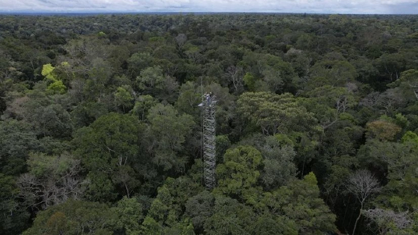 Brazil builds 'rings of carbon dioxide' to simulate climate change in the Amazon Brazil builds 'rings of carbon dioxide' to simulate climate change in the Amazon