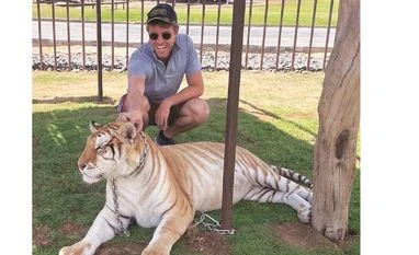 Three Arrows Capital co-founder Kyle Davies petting a tiger during his vacation photo: INSTAGRAM/@kyleLDavies Three Arrows Capital co-founder Kyle Davies petting a tiger during his vacation photo: INSTAGRAM/@kyleLDavies