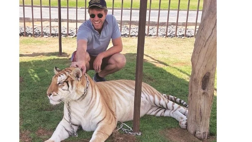 Three Arrows Capital co-founder Kyle Davies petting a tiger during his vacation photo: INSTAGRAM/@kyleLDavies Three Arrows Capital co-founder Kyle Davies petting a tiger during his vacation photo: INSTAGRAM/@kyleLDavies