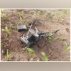 Drone, Pakistani drone Drone, Pakistani drone