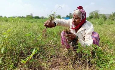 Retail inflation for farm, rural workers eases marginally in January CPI inflation for farm workers, rural labourers fell in May