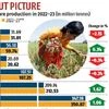 Onion, tomato production likely to decline in 2022-23, shows data