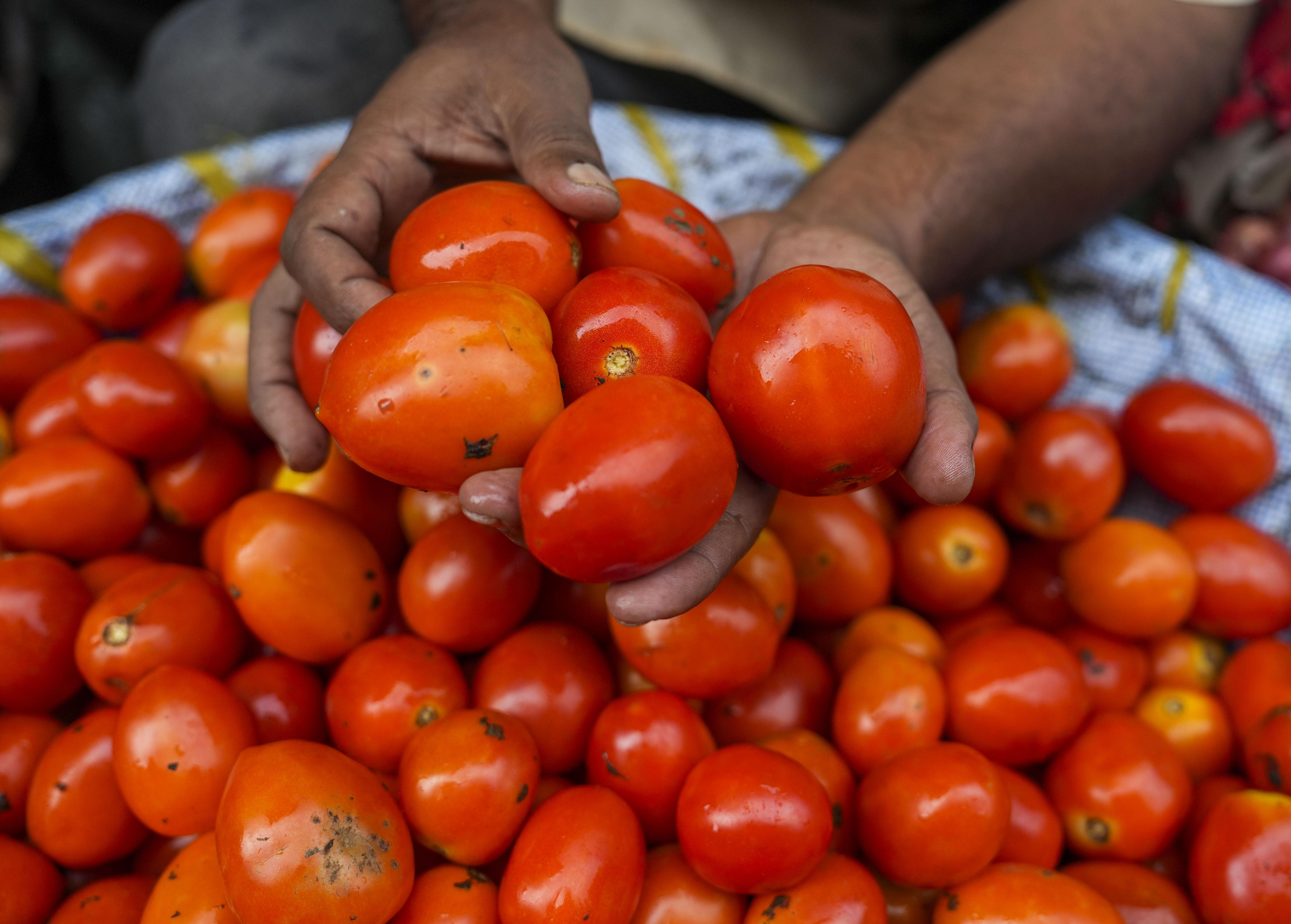 Paytm E comm Partners With NCCF ONDC To Sell Tomatoes At Rs 70 kg In 