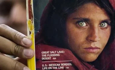 National Geographic Lays Off Its Last Remaining Staff Writers National Geographic Lays Off Its Last Remaining Staff Writers