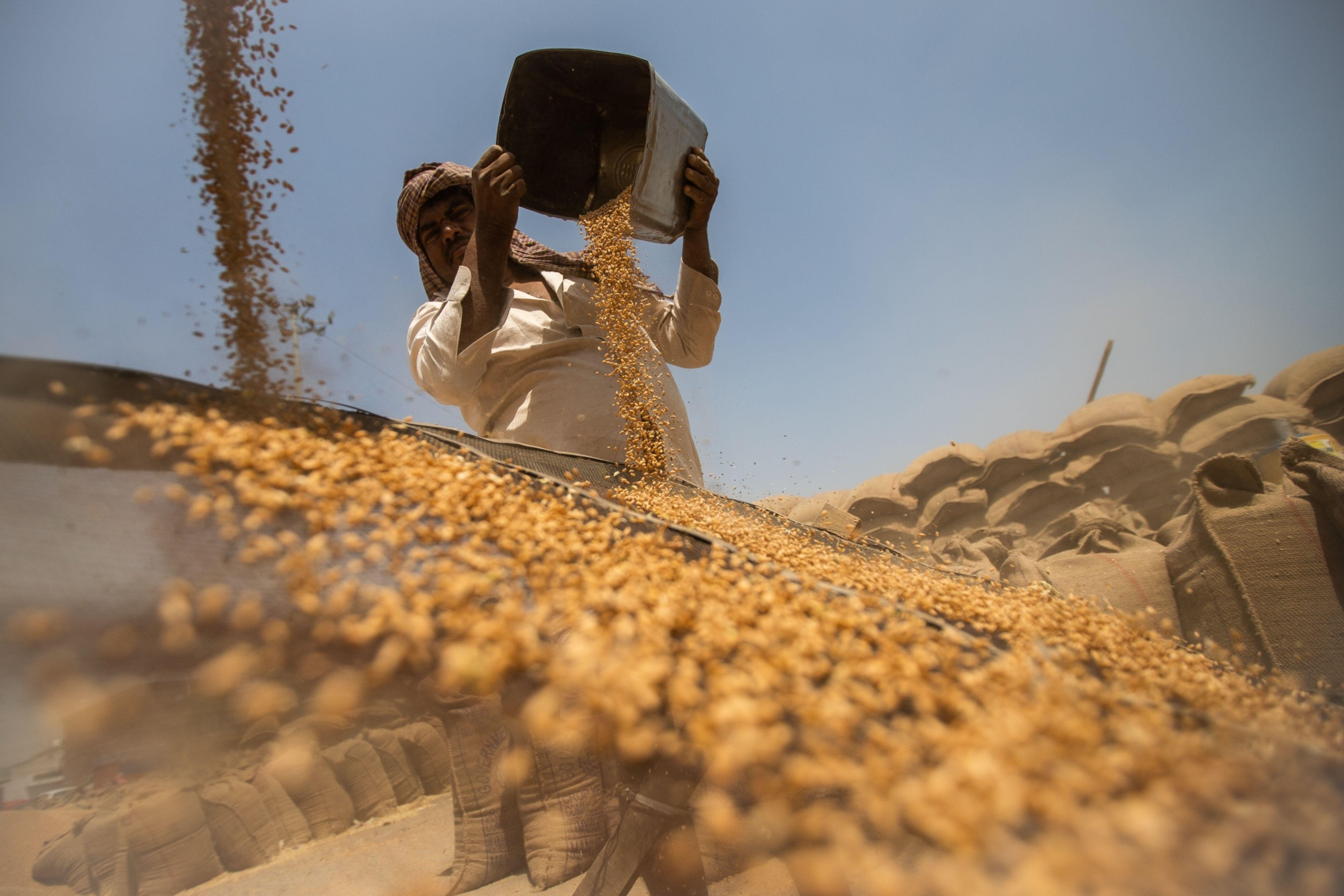 Widespread cereal shortages may further fuel India's inflation, says