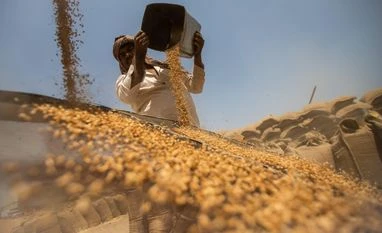 Govt proposes to include moisture measurements in cereal grains, oilseeds Cereal