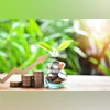 Sort Your Financial Future by Opening a High-Interest Savings Account Today!