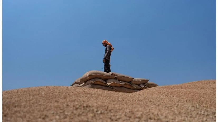grains, grain stockpile grains, grain stockpile