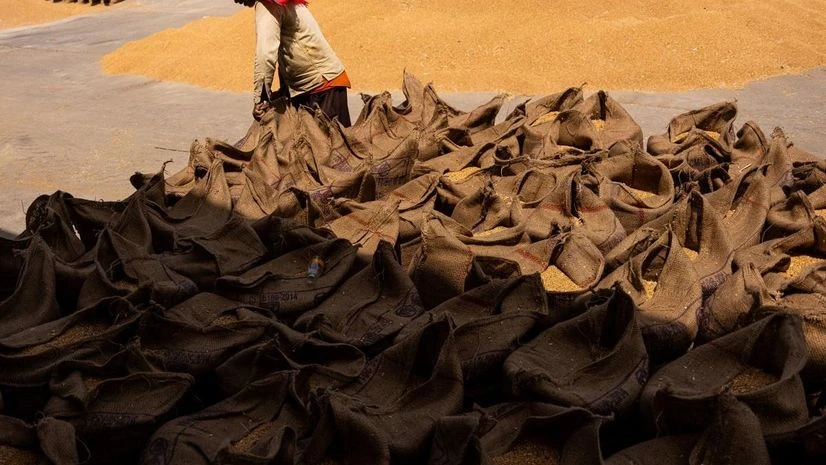 Food grains Food grains