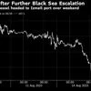 Wheat markets shrug off Black Sea flashpoints as exports flow: Report