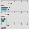 Improved spatial rain distribution aids crops, shows CRISIL DRIP index