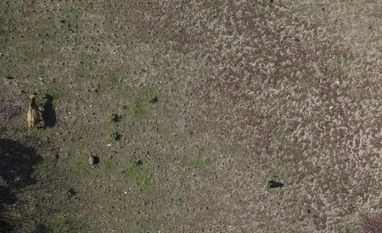 Photographer: Camilo Freedman/Bloomberg Photographer: Camilo Freedman/Bloomberg