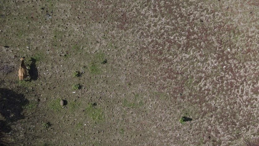 Photographer: Camilo Freedman/Bloomberg Photographer: Camilo Freedman/Bloomberg