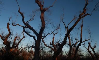 Global South must raise voice for ambitious new climate finance goal: India ClimateChange