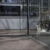 blackstone