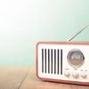Govt increases advertisement rates for FM radio stations after 8 yrs