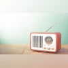 FM Radio