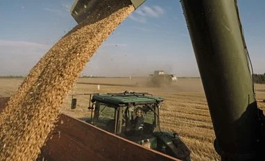 EU Commission proposes to impose tariffs on grain imports from Russia grain, grains