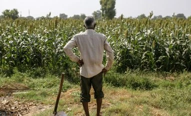 Govt may increase agri-credit target to Rs 22-25 trn in interim Budget farmers, agriculture, farm