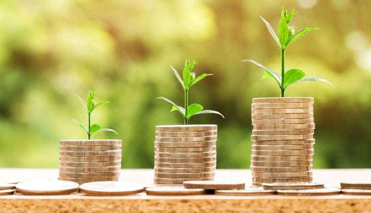 Trading strategies for stocks that doubled your money in 2023 News on