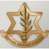 Israel Defence forces, IDF