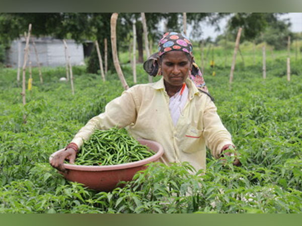 Tennis player James Blake
