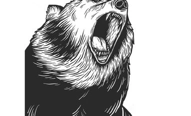 Weekend Bites: Bears rule, biggies declare results, feeble campus hiring Bear, market