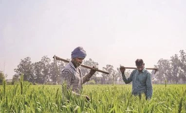 Survival and growth of FPOs TENANT, farmer