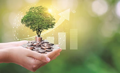 Green taxonomy: More resources will flow to climate-friendly projects Green finance market