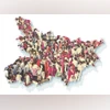 bihar people, bihar map, caste data bihar people, bihar map, caste data
