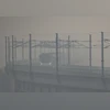 delhi pollution