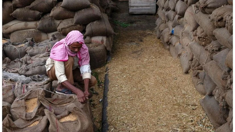 Rice, Rice exports Rice, Rice exports