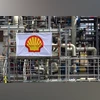 Shell Plc, Shell Shell Plc, Shell