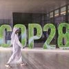 COP28, climate change, environment