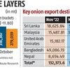 Onion exports decline 85% after Centre's minimum export price cap