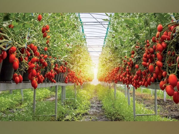Tennis player James Blake