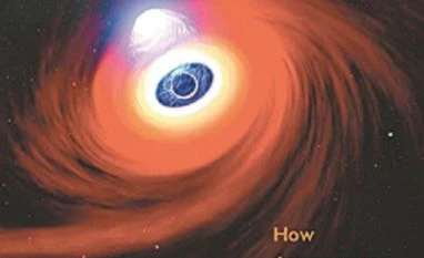 Weirdos of the cosmos Book