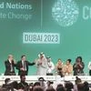 COP28, climate change, environment
