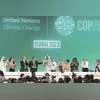 COP28, climate change, environment