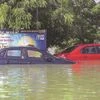 Cyclone Michaung induced heavy rains and flooding had damaged several vehicles in the city	Photo: PTI