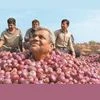 Govt lifts ban on onion exports; imposes min export price of $550 per tonne