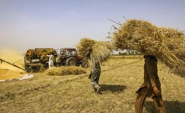Agri growth pegged at 7-year low of 1.8% in FY24 due to poor Kharif harvest Farming