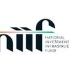 Governing Council urges NIIF to boost global presence, adopt new strategy